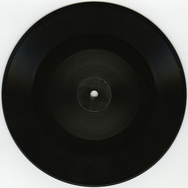 Nick Cave & The Bad Seeds - Animal X