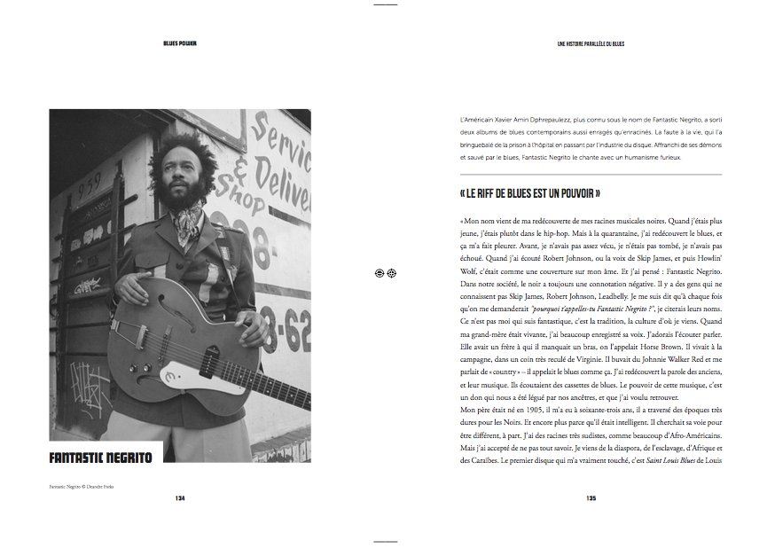 Blues Power, a parallel history of the blues