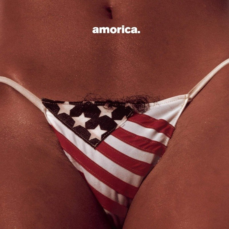 BLACK CROWES - AMORICA