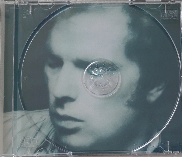 Van Morrison - Into The Music