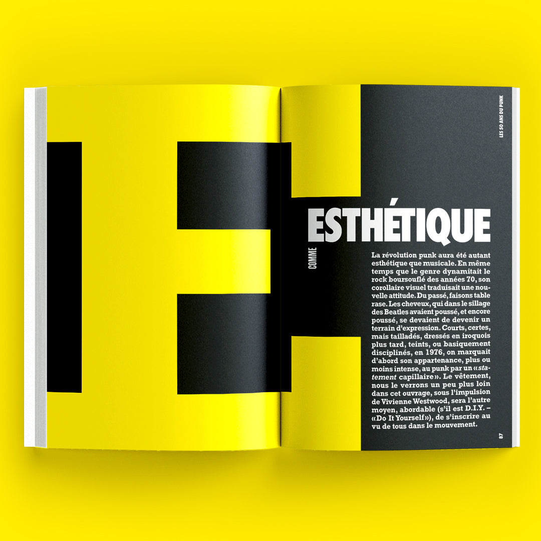 50 ans du Punk