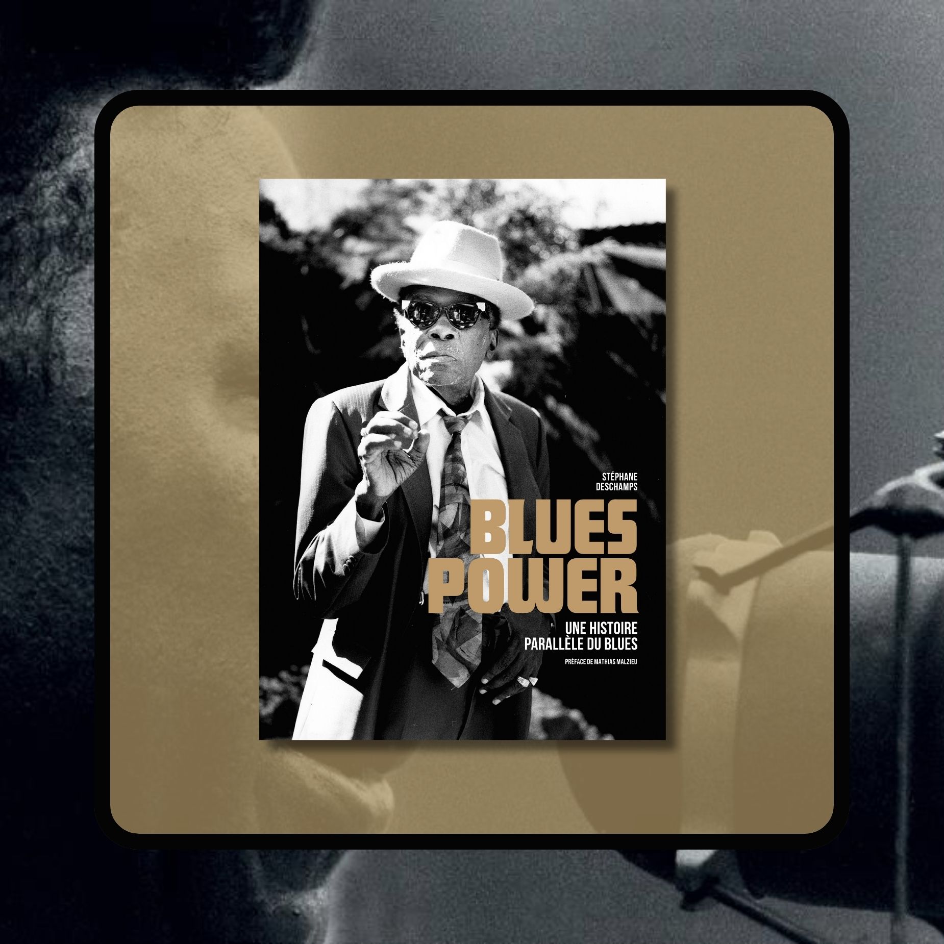 Blues Power, Une histoire parallèle du blues