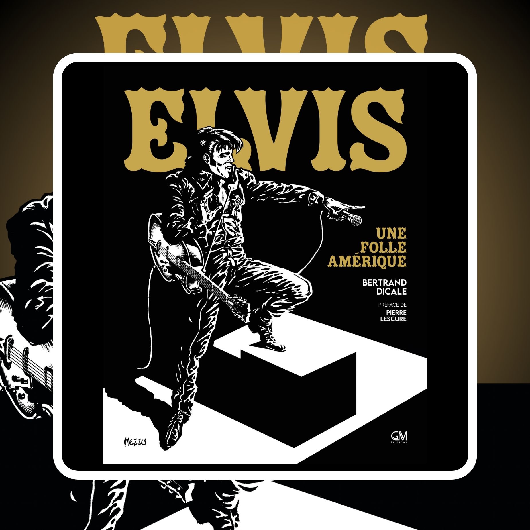 Elvis Presley - Une folle Amérique